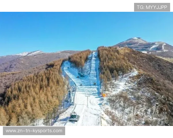 世界高山滑雪赛道生态修复第64期进展通报